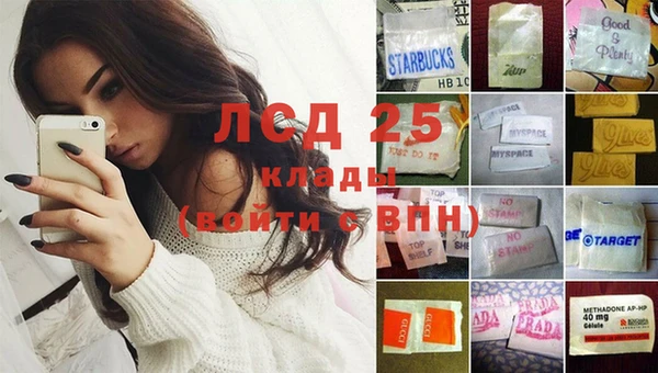 сатива Алзамай