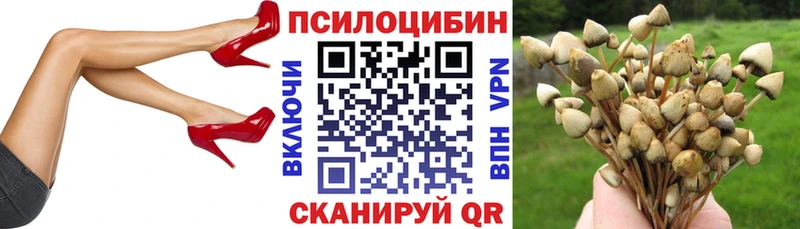 Псилоцибиновые грибы мухоморы  Купить закладки  Сунжа 